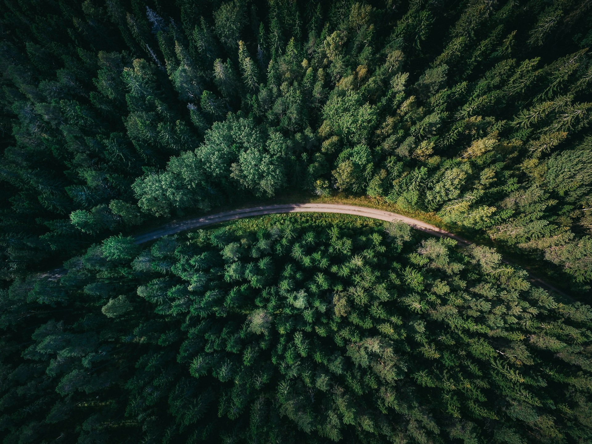 Aerial view of a road winding through dense forest. Credit: Geranimo, Unsplash