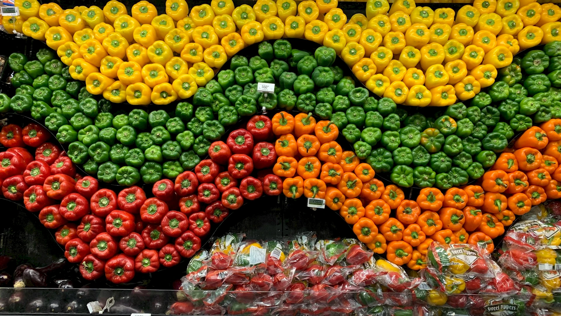 Colorful rows of bell peppers. Credit: Jess Torre, Unsplash